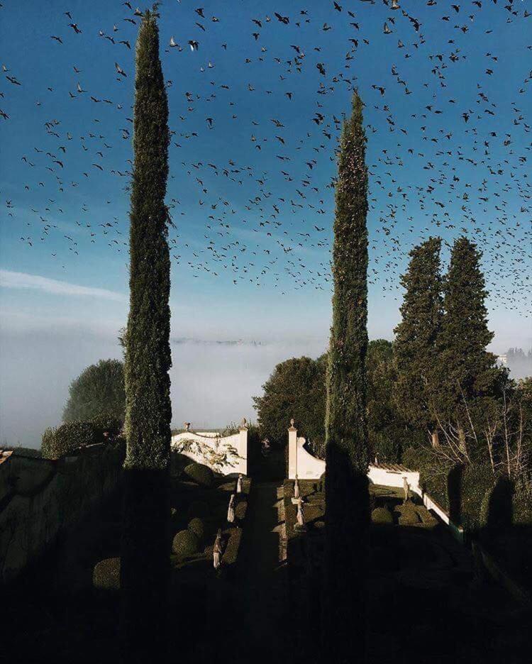 Villa Le Piazzole Φλωρεντία Εξωτερικό φωτογραφία